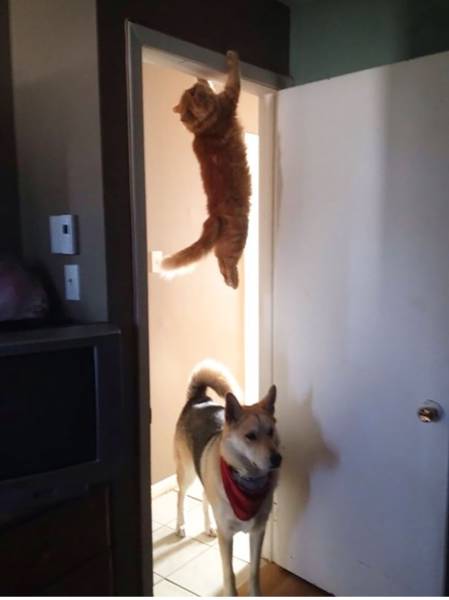 morning picdump 50 pics 2.html - 50 HD Photos | Premium Gallery 2015