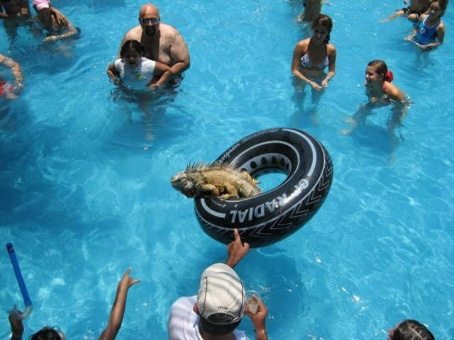 morning picdump 50 pics 2.html - 50 HD Photos | Premium Gallery 2015