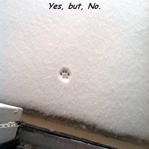 page,43,top 1500 daily pics of the year 2015.html - 1 HD Photos | Premium Gallery 2015