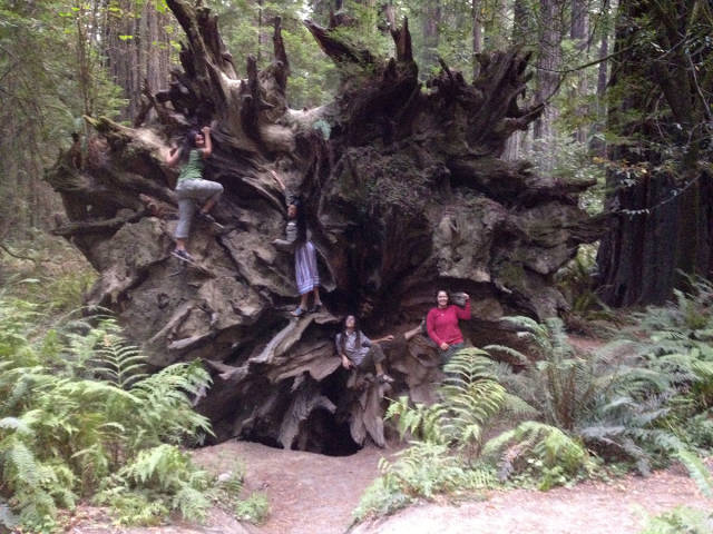 morning picdump 53 pics 12.html - 53 HD Photos | Premium Gallery 2015