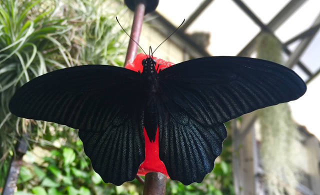 morning picdump 50 pics 2.html - 50 HD Photos | Premium Gallery 2015