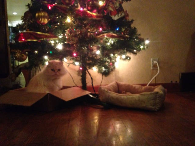 morning picdump 50 pics 2.html - 50 HD Photos | Premium Gallery 2015