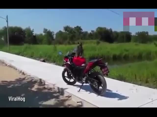 Dude Takes on a Monkey with His Shoe and All Hell Breaks Loose