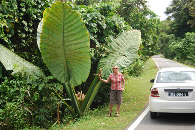 morning picdump 51 pics 18.html - 51 HD Photos | Premium Gallery 2015