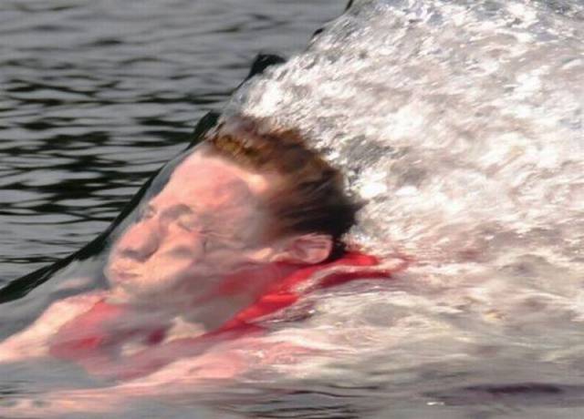 daily picdump 96 pics 25.html - 96 HD Photos | Premium Gallery 2015