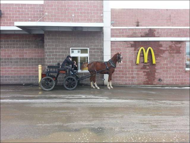 daily picdump 96 pics 25.html - 96 HD Photos | Premium Gallery 2015