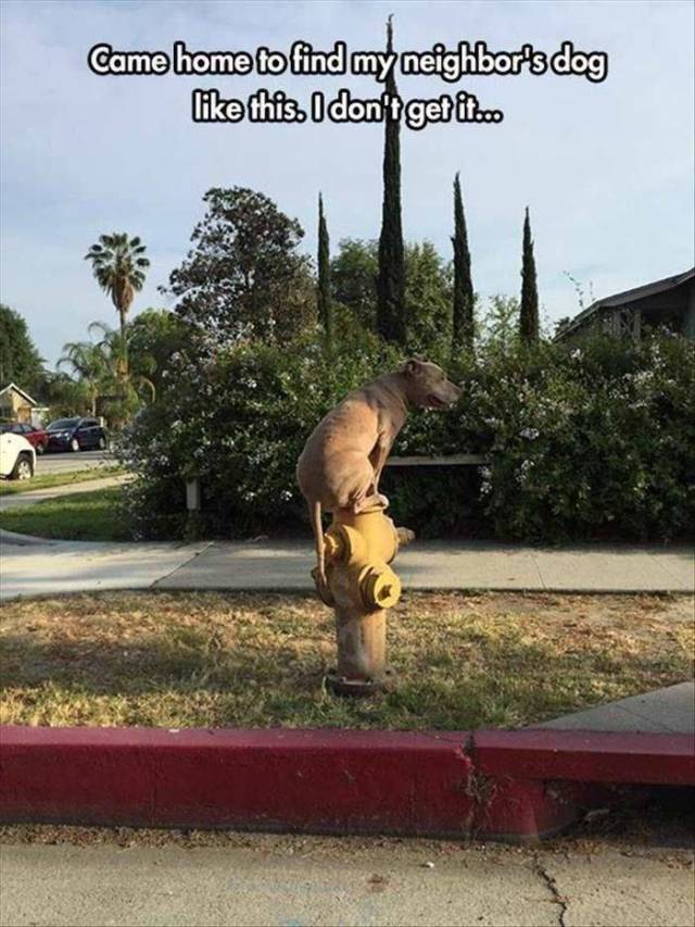 daily picdump 96 pics 25.html - 96 HD Photos | Premium Gallery 2015