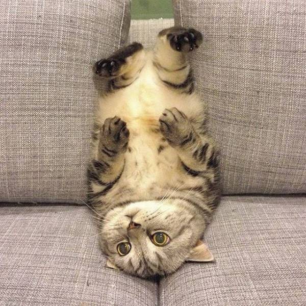 morning picdump 51 pics 19.html - 51 HD Photos | Premium Gallery 2015