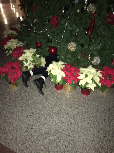 morning picdump 51 pics 19.html - 51 HD Photos | Premium Gallery 2015