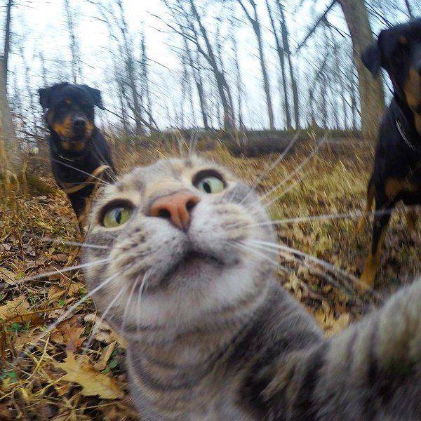 daily picdump 105 pics 26.html - 105 HD Photos | Premium Gallery 2015