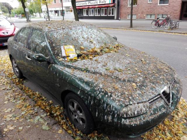 daily picdump 105 pics 26.html - 105 HD Photos | Premium Gallery 2015