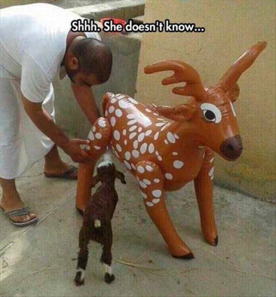 daily picdump 105 pics 26.html - 105 HD Photos | Premium Gallery 2015