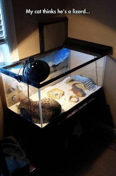 daily picdump 105 pics 26.html - 105 HD Photos | Premium Gallery 2015