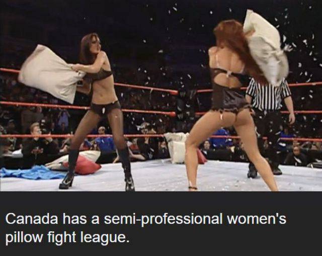 daily picdump 105 pics 26.html - 105 HD Photos | Premium Gallery 2015