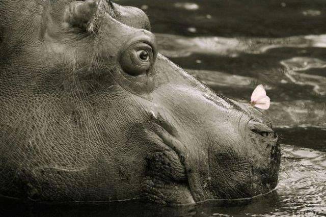 daily picdump 105 pics 26.html - 105 HD Photos | Premium Gallery 2015