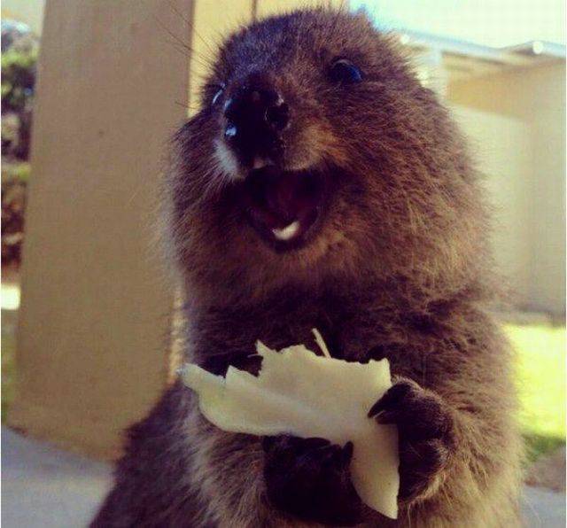 daily picdump 105 pics 26.html - 105 HD Photos | Premium Gallery 2015