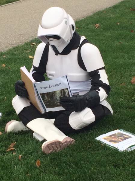 morning picdump 54 pics 3.html - 54 HD Photos | Premium Gallery 2015