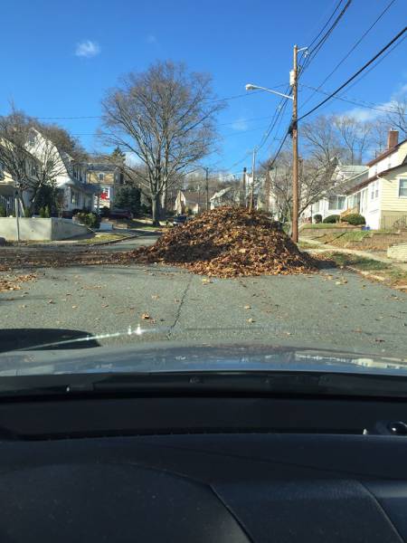 morning picdump 54 pics 3.html - 54 HD Photos | Premium Gallery 2015