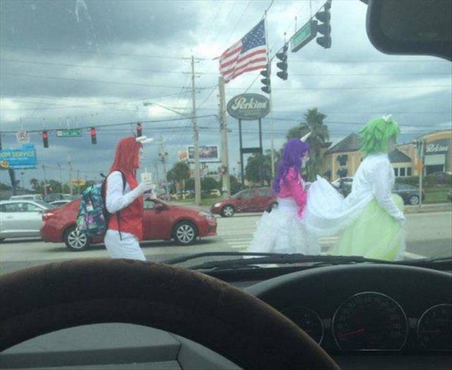 daily picdump 96 pics 3.html - 96 HD Photos | Premium Gallery 2015