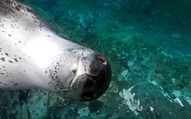 daily picdump 96 pics 3.html - 96 HD Photos | Premium Gallery 2015