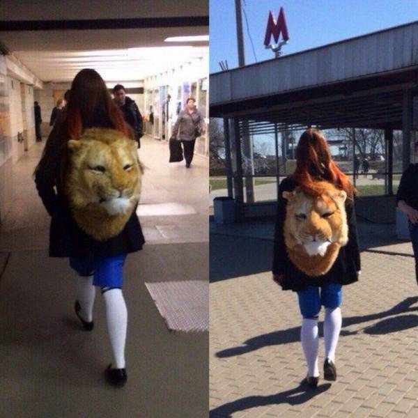 daily picdump 96 pics 3.html - 96 HD Photos | Premium Gallery 2015