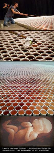 page,17,top 1500 daily pics of the year 2015.html - 1 HD Photos | Premium Gallery 2015