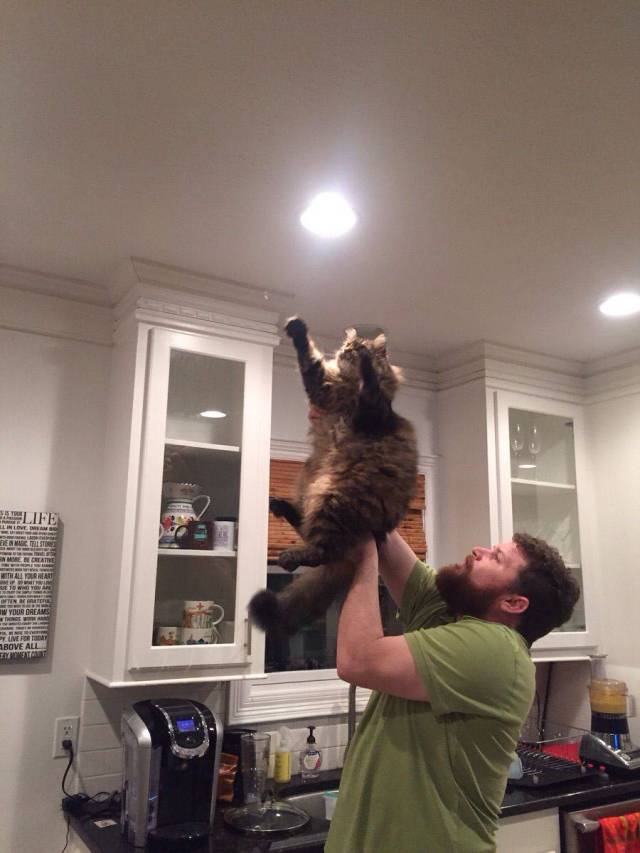 daily picdump 96 pics 3.html - 96 HD Photos | Premium Gallery 2015