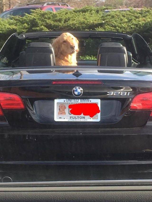 daily picdump 96 pics 3.html - 96 HD Photos | Premium Gallery 2015