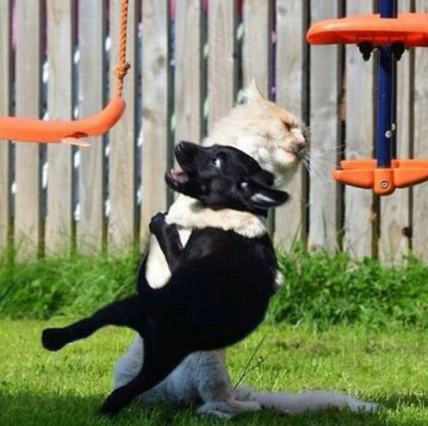 morning picdump 50 pics 8.html - 50 HD Photos | Premium Gallery 2015