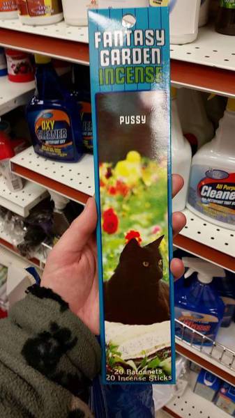 morning picdump 50 pics 8.html - 50 HD Photos | Premium Gallery 2015