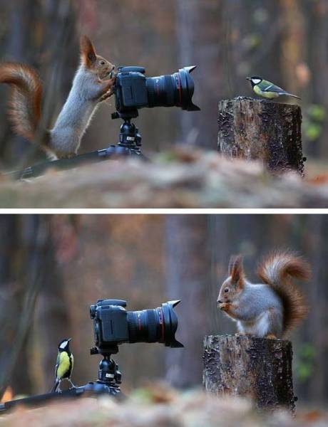 page,24,top 1500 daily pics of the year 2015.html - 1 HD Photos | Premium Gallery 2015