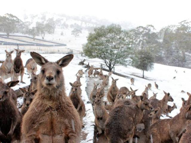 morning picdump 54 pics 3.html - 54 HD Photos | Premium Gallery 2015