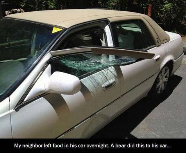 daily picdump 101 pics 9.html - 101 HD Photos | Premium Gallery 2015