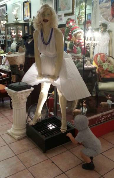 daily picdump 101 pics 9.html - 101 HD Photos | Premium Gallery 2015