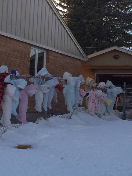 daily picdump 101 pics 9.html - 101 HD Photos | Premium Gallery 2015