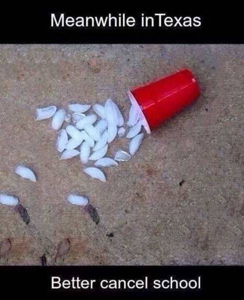 daily picdump 101 pics 9.html - 101 HD Photos | Premium Gallery 2015