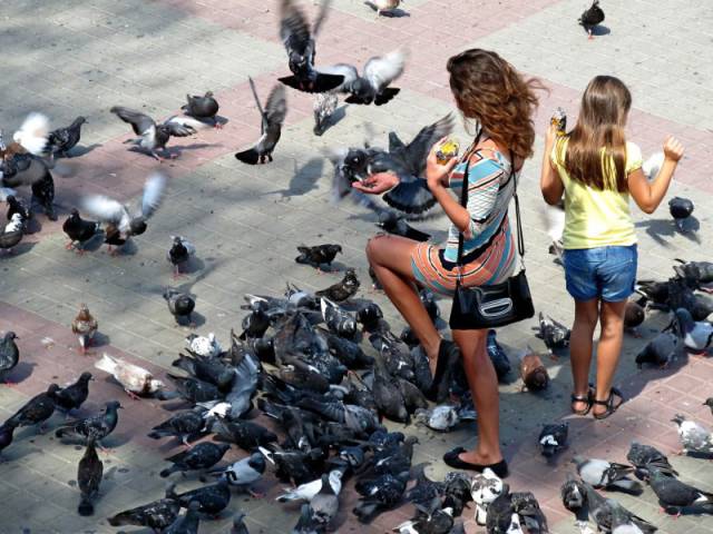 morning picdump 53 pics 29.html - 53 HD Photos | Premium Gallery 2015