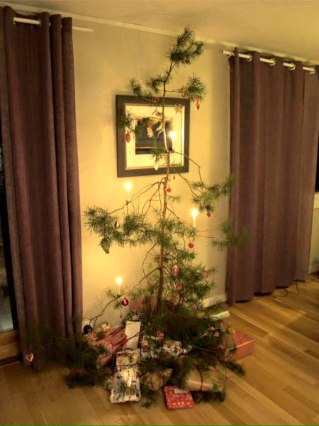 morning picdump 53 pics 29.html - 53 HD Photos | Premium Gallery 2015