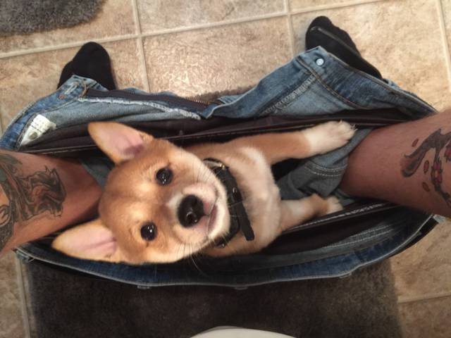 morning picdump 53 pics 29.html - 53 HD Photos | Premium Gallery 2015