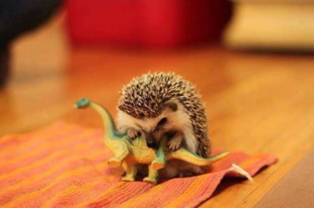 morning picdump 50 pics 17.html - 50 HD Photos | Premium Gallery 2015