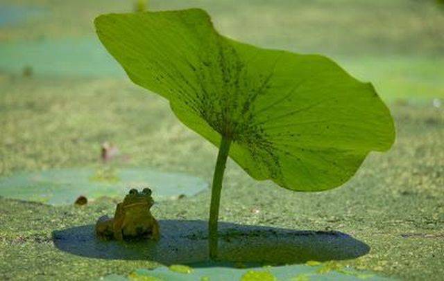 page,24,top 1500 daily pics of the year 2015.html - 1 HD Photos | Premium Gallery 2015