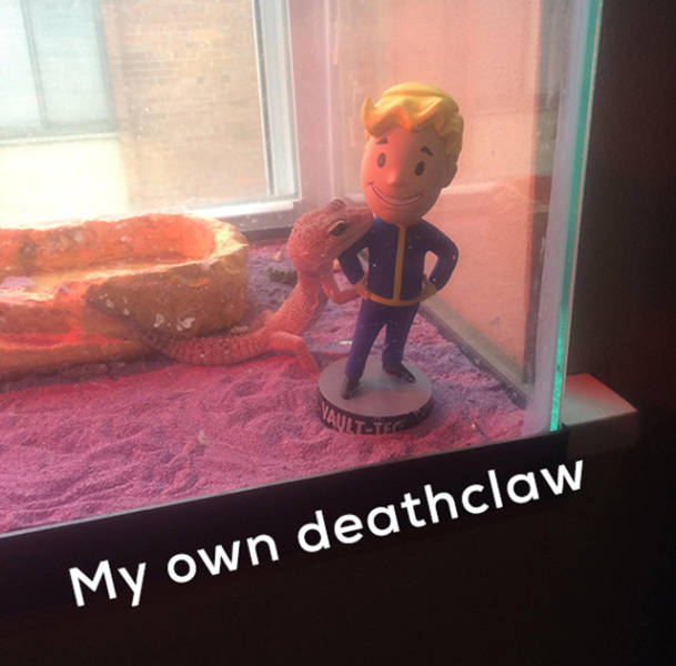 Gamers Will Approve...