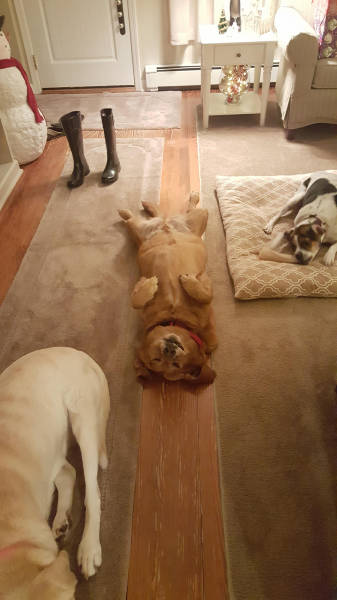 morning picdump 54 pics 3.html - 54 HD Photos | Premium Gallery 2015