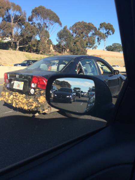 WTF Did I Just Watch?