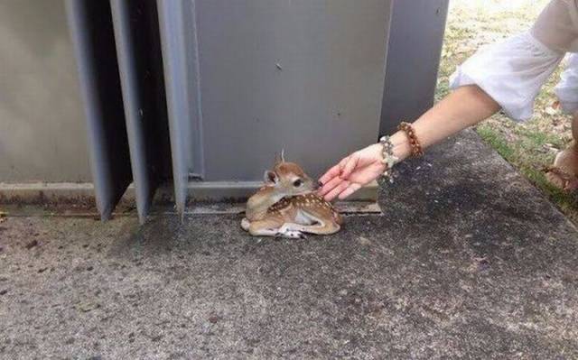 page,33,top 1500 daily pics of the year 2015.html - 1 HD Photos | Premium Gallery 2015