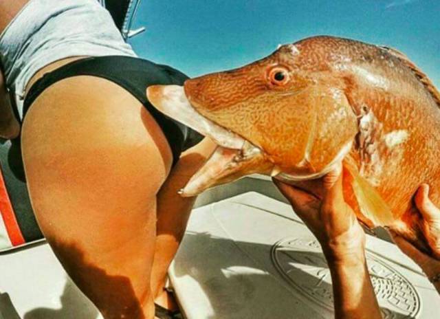 grownup corner 69 pics 11 gifs 23.html - 69 HD GIF | Premium Gallery 2015