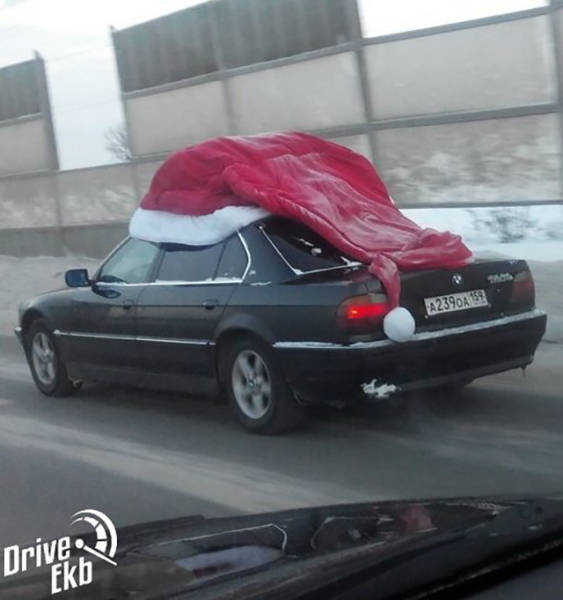 Morning Picdump