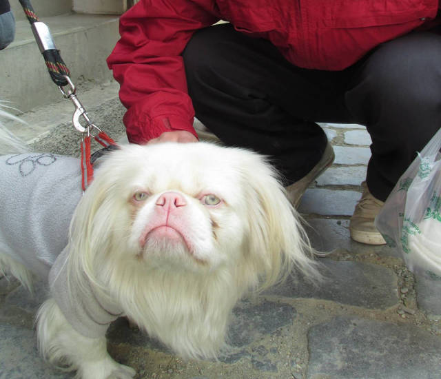 morning picdump 53 pics 12.html - 53 HD Photos | Premium Gallery 2016