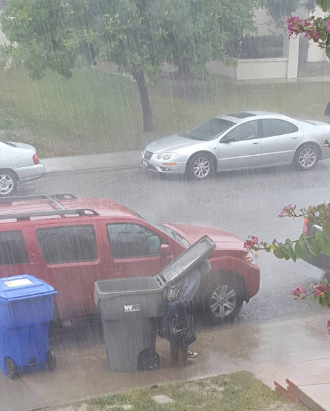 morning picdump 53 pics 12.html - 53 HD Photos | Premium Gallery 2016