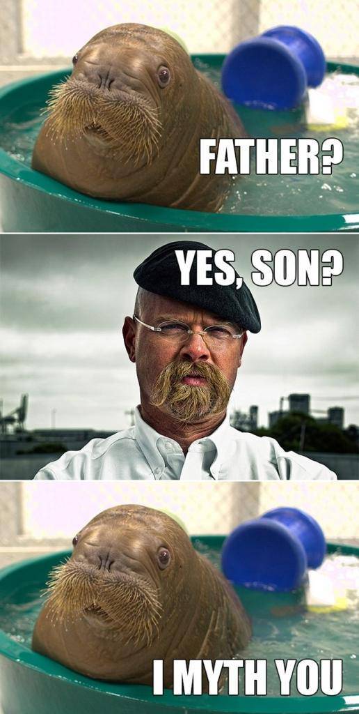 funny picdump 56 pics 25.html - 56 HD Photos | Premium Gallery 2016